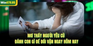 Mơ Thấy Người Yêu Cũ Đánh Con Gì Để Đổi Vận Ngay Hôm Nay